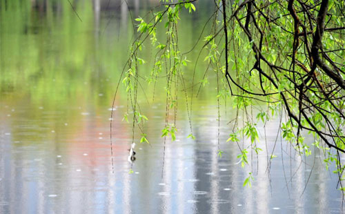 雨中的守护者 —— 隆德珍珠棉的应用实践